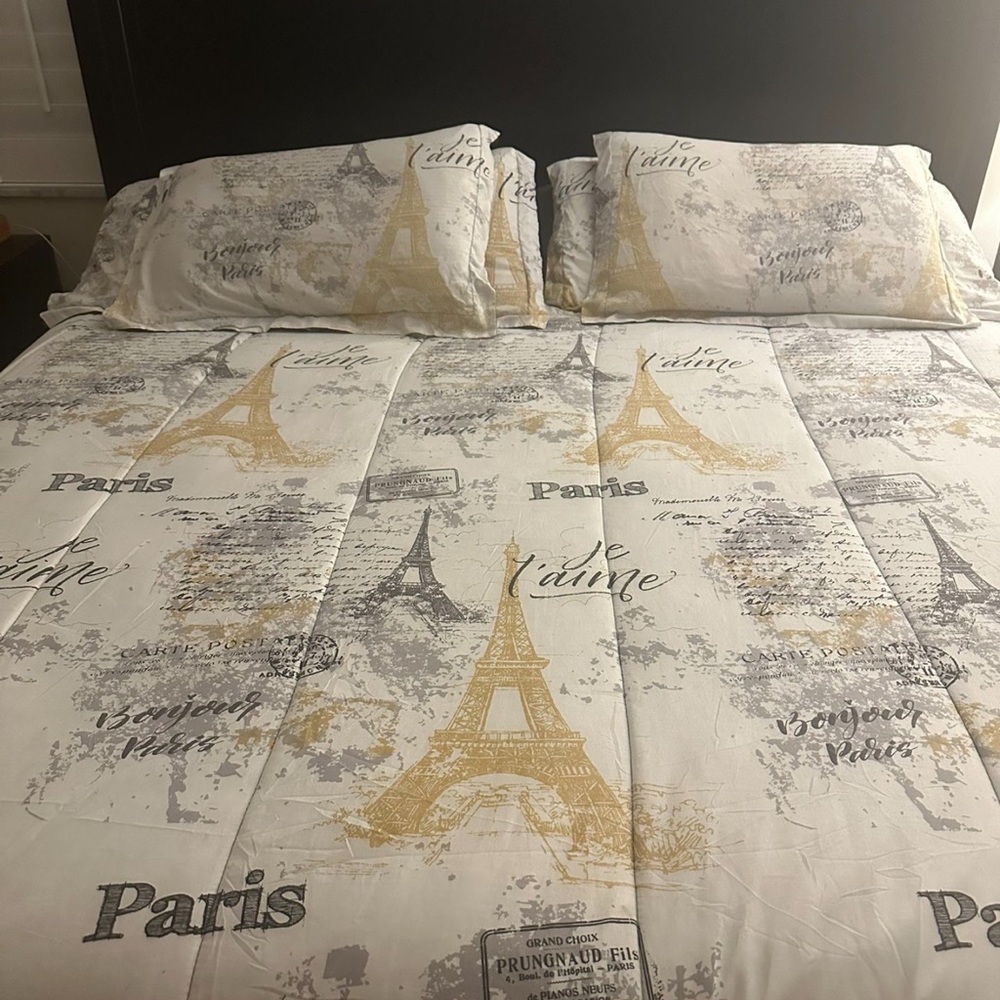 Macy’s Paris themed queen quilt
